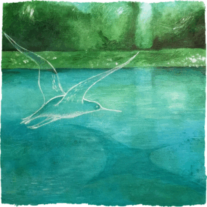 Vernisáž výstavy obrazů Báry Filipové 6. 11. od 18:30