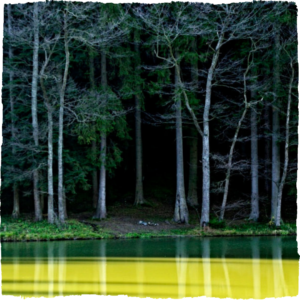 Vernisáž výstavy fotografií Ivy Ullrichové 13. 4. od 18:30